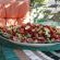 A Tapestry Garden Guest House - 261622