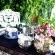 A Tapestry Garden Guest House - 261627