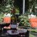 A Tapestry Garden Guest House - 261629