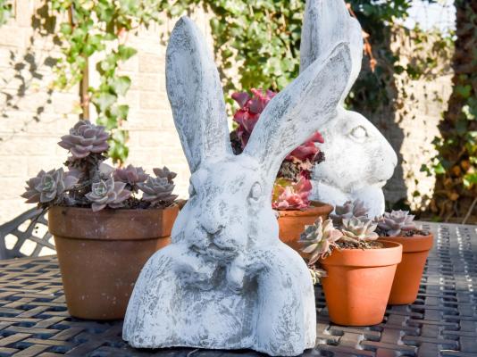 Bellas B and B - 261643