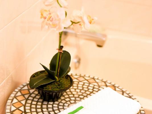 Bellas B and B - 261650