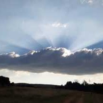 Bateleur Nature Reserve - 261703
