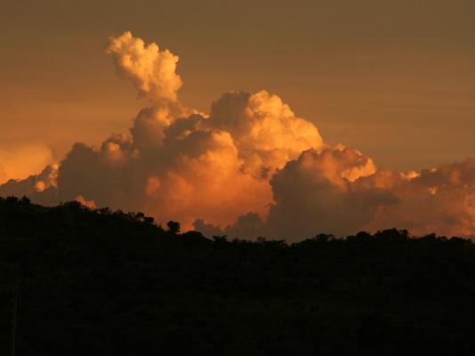 Bateleur Nature Reserve - 261708