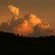 Bateleur Nature Reserve - 261708