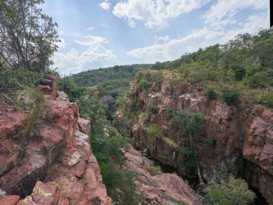Bateleur Nature Reserve - 261714