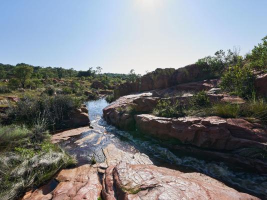 Bateleur Nature Reserve - 261716