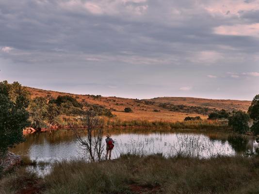 Bateleur Nature Reserve - 261718