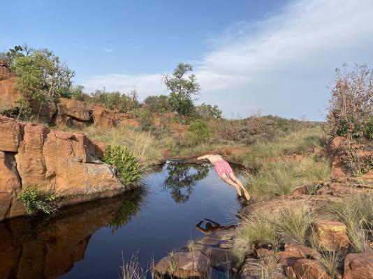 Bateleur Nature Reserve - 261719