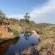 Bateleur Nature Reserve - 261719