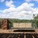 Bateleur Nature Reserve - 261732