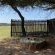 Bateleur Nature Reserve - 261755
