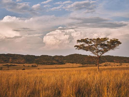 Bateleur Nature Reserve - 261758