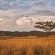 Bateleur Nature Reserve - 261758