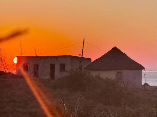Swell Eco Lodge - 261806