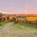 Swell Eco Lodge - 261811