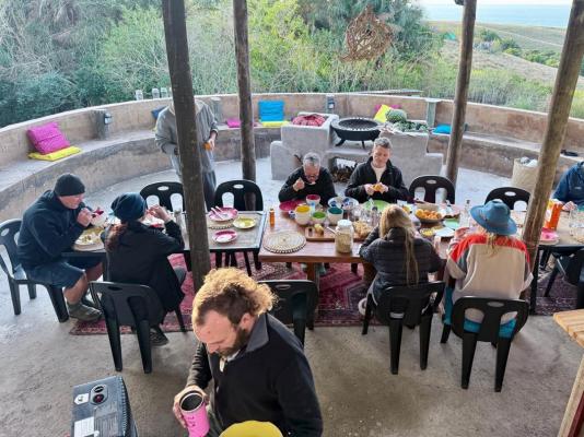 Swell Eco Lodge - 261819