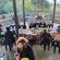 Swell Eco Lodge - 261819