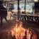 Swell Eco Lodge - 261821