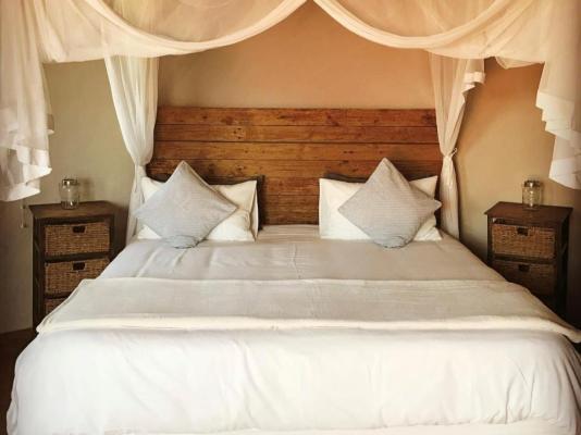 Swell Eco Lodge - 261822