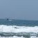 Swell Eco Lodge - 261823