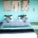 Swell Eco Lodge - 261844