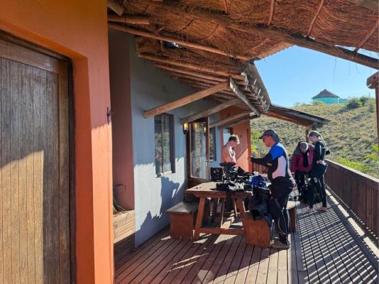 Swell Eco Lodge - 261846