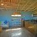 Swell Eco Lodge - 261847