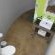 Swell Eco Lodge - 261851