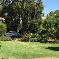 Hillingdale on Alexandra - 261898