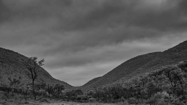 Shoulder Mountain