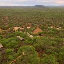 Kifaru Luxury Lodge - 262129