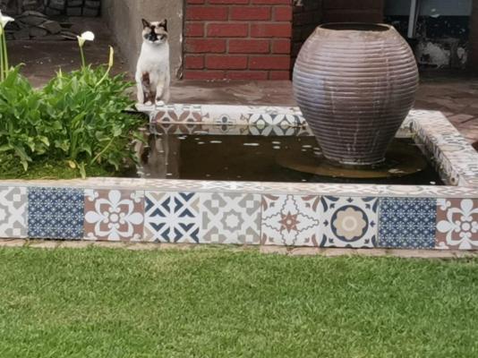 22 on Main Guesthouse Walvis Bay - 262205