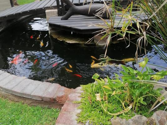 22 on Main Guesthouse Walvis Bay - 262221
