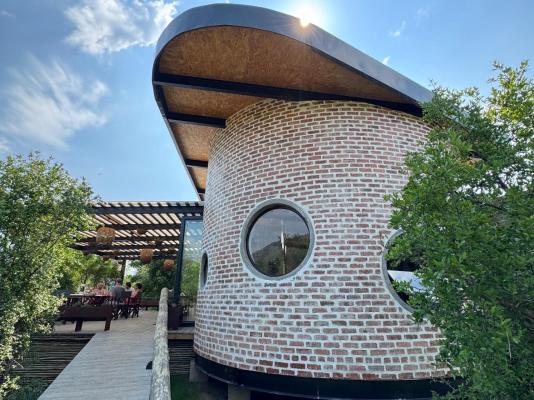 Mbazo & Dzombo Safaris - 262278