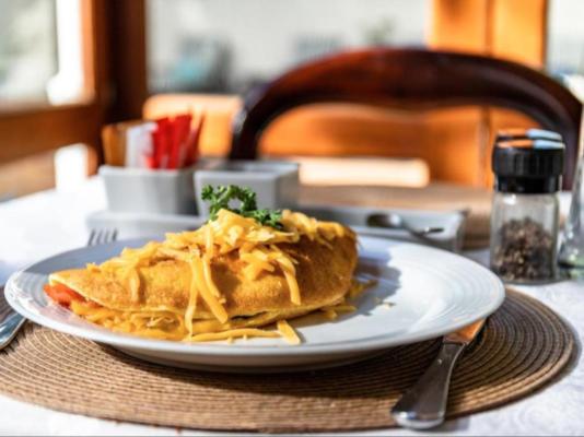 Evergreen Lodge - 262321