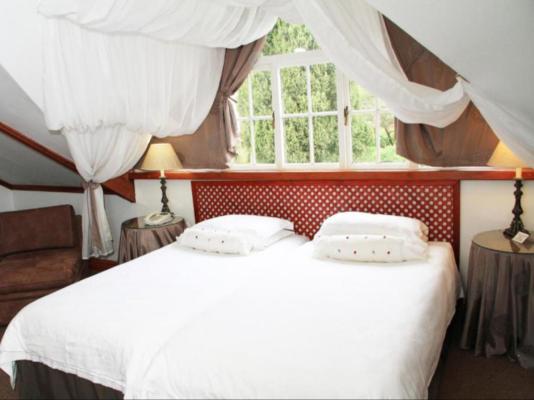 Evergreen Lodge - 262328