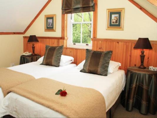 Evergreen Lodge - 262331