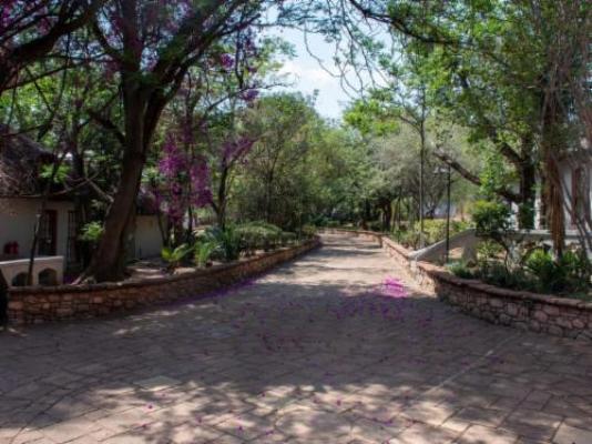 Beverly Hills Lodge - Patio
