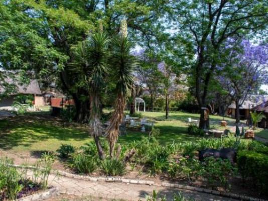 Beverly Hills Lodge - Garden