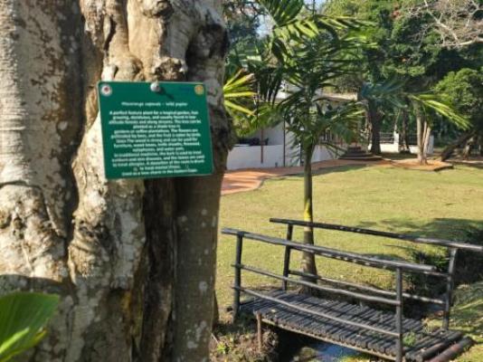 B Cubed Lodge and Restaurant - Garden