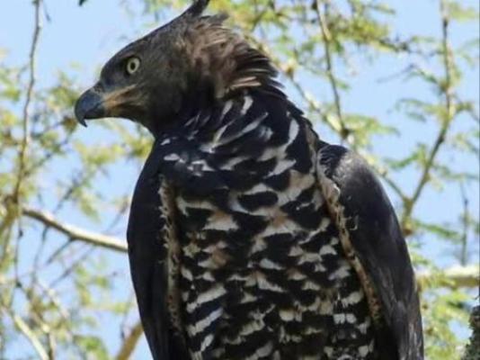 Fyndraai Guesthouse - Natural landscape