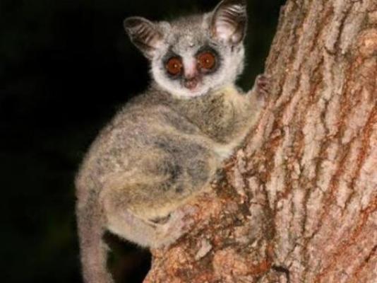 Fyndraai Guesthouse - Neighbourhood