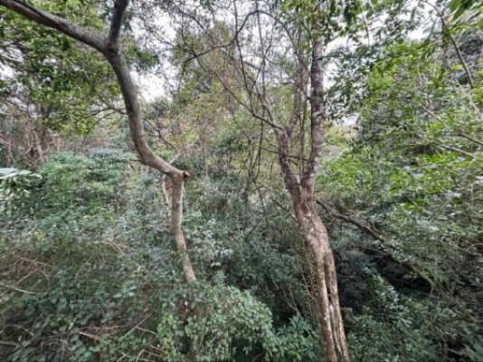 Fyndraai Guesthouse - Natural landscape