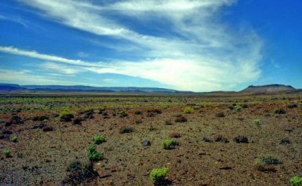 Tankwa Karoo National Park