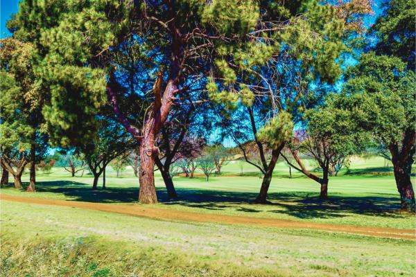 Glendower View Guest House - 263282