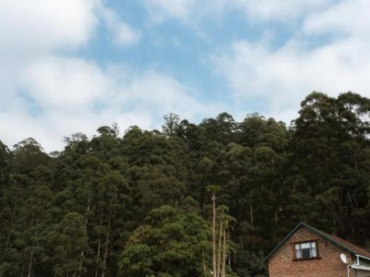 Magoebaskloof Mountain Estate - Natural landscape