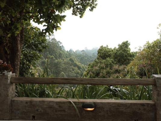 Magoebaskloof Mountain Estate - 263375