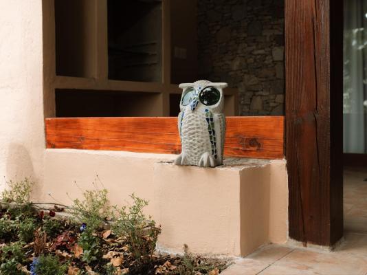 Magoebaskloof Mountain Estate - 263377