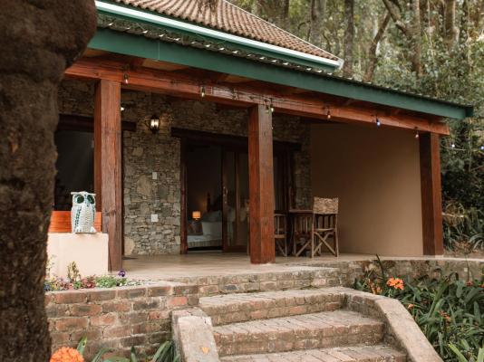 Magoebaskloof Mountain Estate - 263380