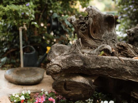 Magoebaskloof Mountain Estate - 263381